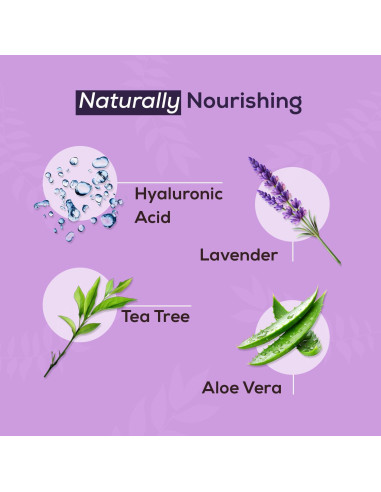 Limpiador Espumoso de Párpados NOVEHA 100ml con Lavanda y Árbol de Té