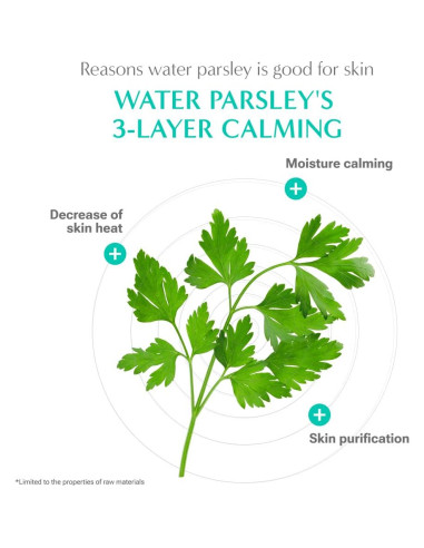 Tónico Calmante y Almohadillas de Perejil de Agua RATAPLAN