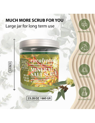 Exfoliante Corporal Eucalipto Colección del Mar Muerto 660g
