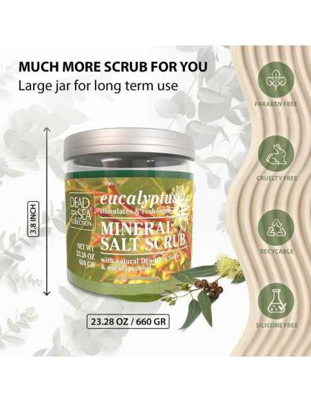 Exfoliante Corporal Eucalipto Colección del Mar Muerto 660g