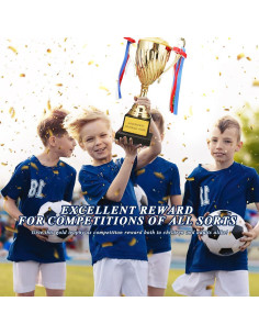 Trofeo Dorado Wrzbest HYCT - 33.5 cm, Premio para Deportes 2