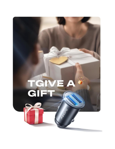 Cargador de Coche AINOPE USB Doble 4.8A Metal Negro