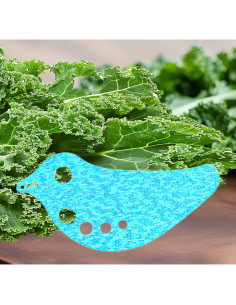 Deshojador de Hierbas RONDURE - Gadget de Cocina Multifuncional 2