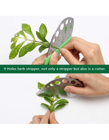 Juego de Tijeras para Hierbas Luxiv 2 en 1 Acero Inoxidable Verde