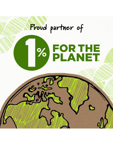 Cinta Correctora BIC Ecolutions Wite-Out 2 Unidades 6.04m