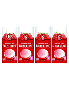 Ambientador de Piedra K29 Sterling Teal Fresa Paquete de 4