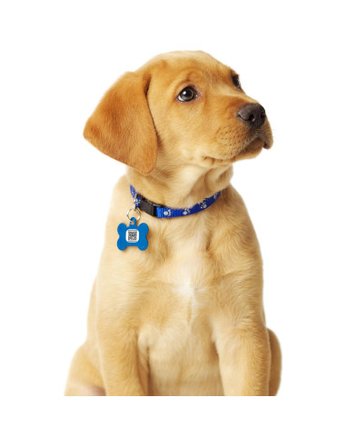 Etiquetas QR Adhesivas ComeBack - 12 Unidades Resistentes