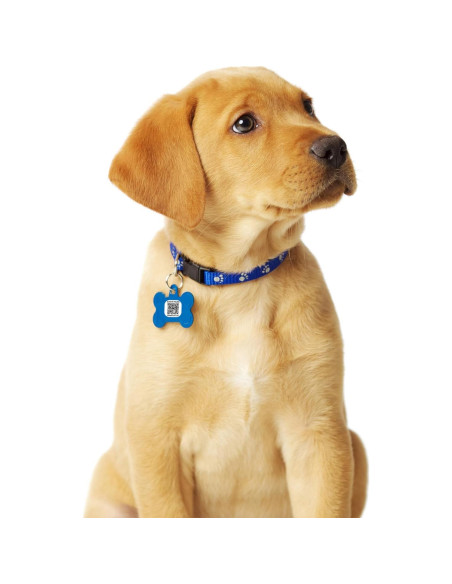 Etiquetas QR Adhesivas ComeBack - 12 Unidades Resistentes