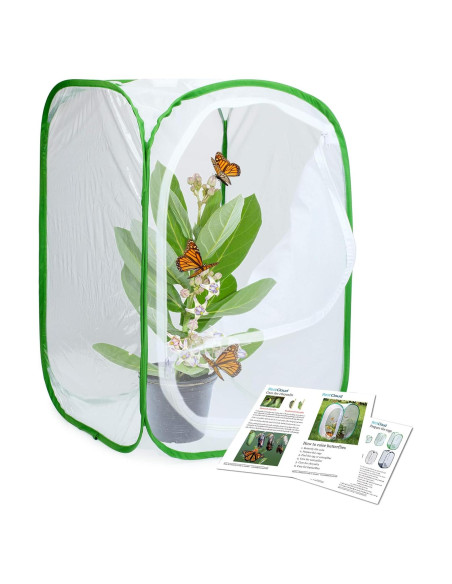 Hábito para Mariposas RestCloud 60 cm Plegable con Malla