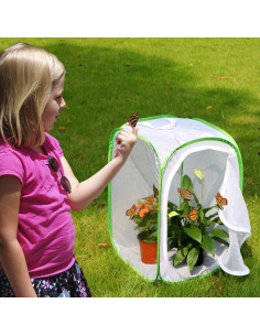 Hábito para Mariposas RestCloud 60 cm Plegable con Malla 2