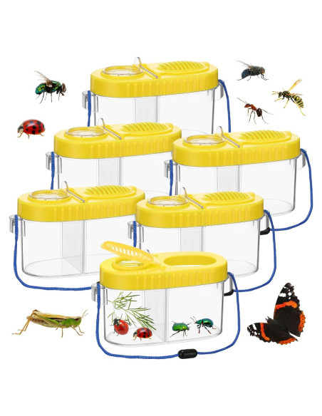 Kit de Captura de Insectos para Niños WinnerWhy - 6 Cajas Amarillo