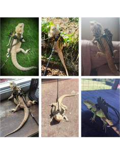 Arnés y Correa para Iguanas ADOGGYGO - Paquete 3 Tamaños S/M/L 2