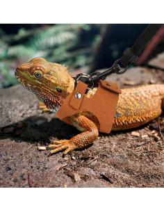 Conjunto Arnés y Correa Dragón Barbudo ADOGGYGO 3 Tamaños 2