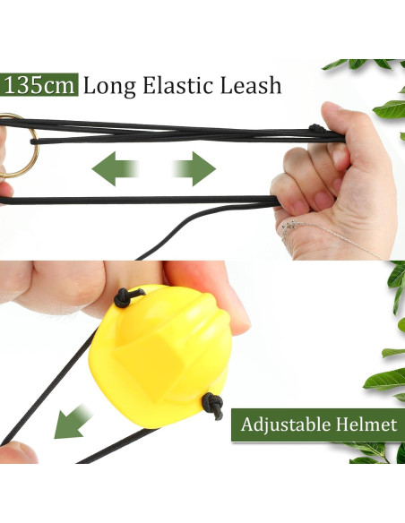 Conjunto de Juguetes para Dragón Barbudo Chivao 5 Piezas Naranja Conjunto de Juguetes para Dragón Barbudo Chivao 5 Piezas Naranja