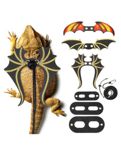 Conjunto de Correa y Arnés Ajustable Wesnoy para Dragón Barbudo