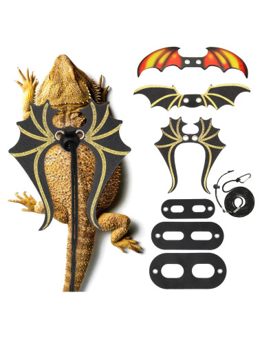 Conjunto de Correa y Arnés Ajustable Wesnoy para Dragón Barbudo