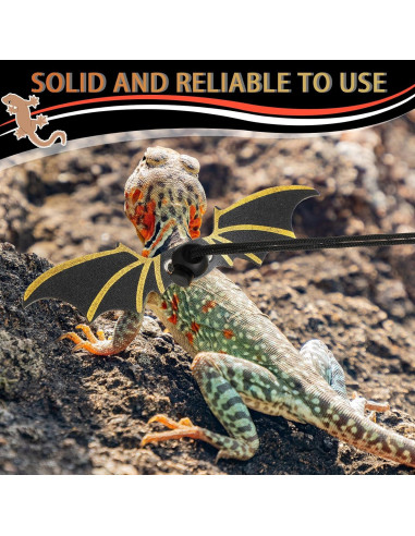 Conjunto de Correa y Arnés Ajustable Wesnoy para Dragón Barbudo