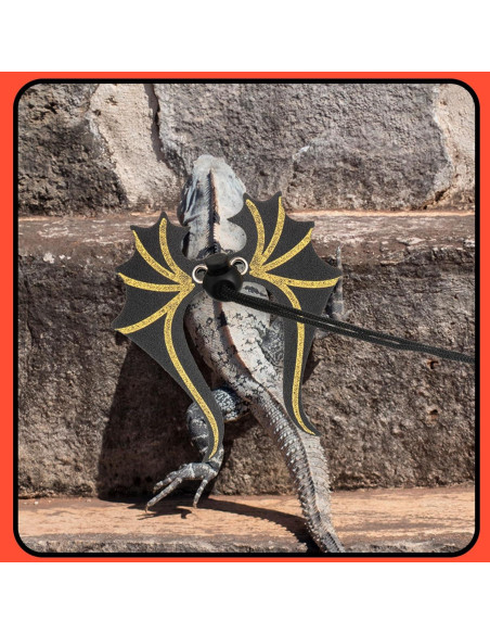 Conjunto de Correa y Arnés Ajustable Wesnoy para Dragón Barbudo