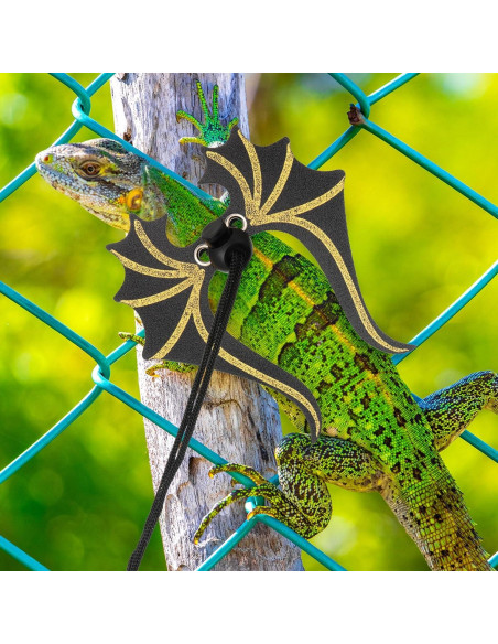 Conjunto de Correa y Arnés Ajustable Wesnoy para Dragón Barbudo