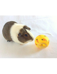 Bola de Golosinas Interactiva Wheeky para Mascotas 7 cm Amarillo 2