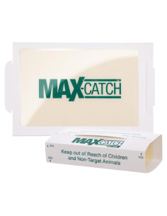 Trampa de Pegamento Catchmaster 36 Unidades para Ratones e Insectos