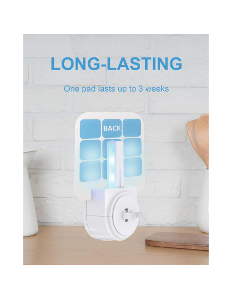 20 Tarjetas Adhesivas Repuesto Dichroma para Trampas de Insectos