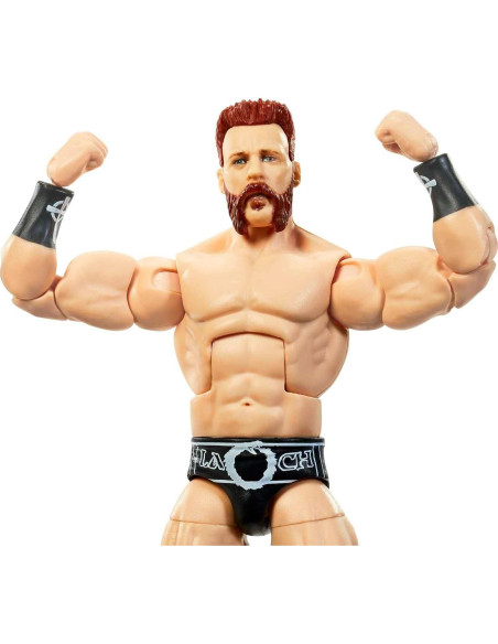 Figura de Acción Mattel WWE Elite Sheamus 15 cm Detalle Realista
