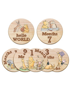 7 Círculos Mensuales de Hitos para Bebés Winnie The Pooh