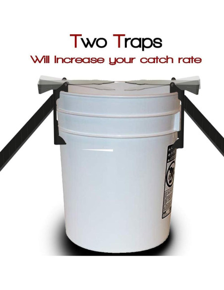 Trampa para Ratones RinneTraps - 2 Unidades, Humana y Segura