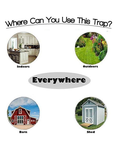 Trampa para Ratones RinneTraps - 2 Unidades, Humana y Segura