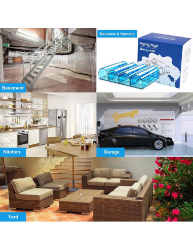 Trampa Humana para Ratones Wanqueen 4 Pcs Reutilizable Azul