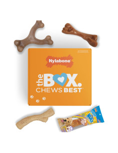 Caja de Regalo Nylabone para Cachorros - 3 Juguetes y 1 Golosina