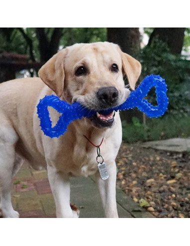Juguete para Perros LANYUKEJI Hueso 33 cm Resistente TPR