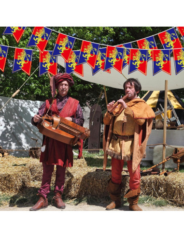 Banderines Medievales Hestya 5 Pcs 15.24m Decoración Fiesta