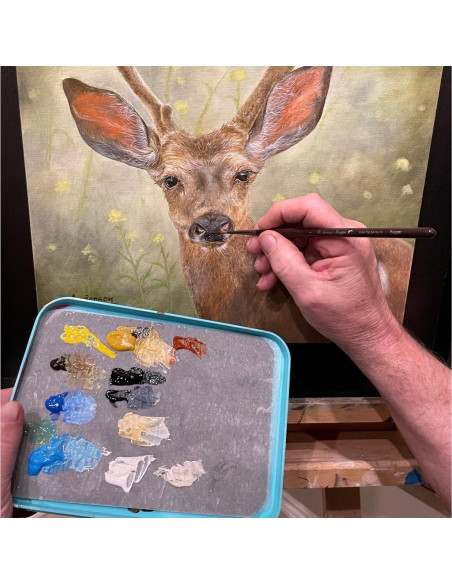 Kit de Pintura Acrílica D'Artisan Wet Palette 50pc Kit de Pintura Acrílica D'Artisan Wet Palette 50pc