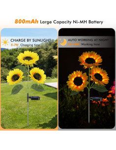 Luces Solares de Girasol Meagoo 800mAh para Jardín - 2 Piezas 2