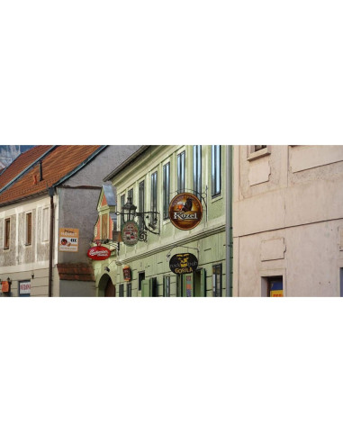 Lente Sony SELP18105G E PZ 18-105mm F4 G OSS Negro