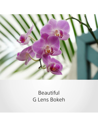 Lente Sony SELP18105G E PZ 18-105mm F4 G OSS Negro