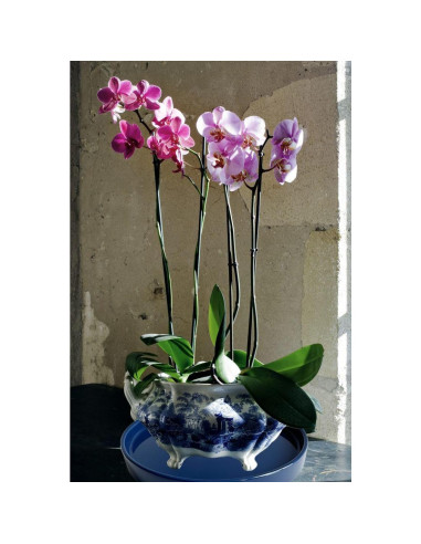 Plato de Cerámica Azul Yukfona 38 cm para Macetas