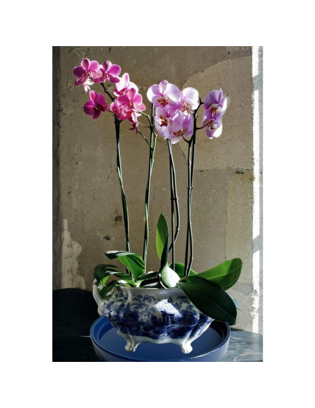 Plato de Cerámica Azul Yukfona 38 cm para Macetas