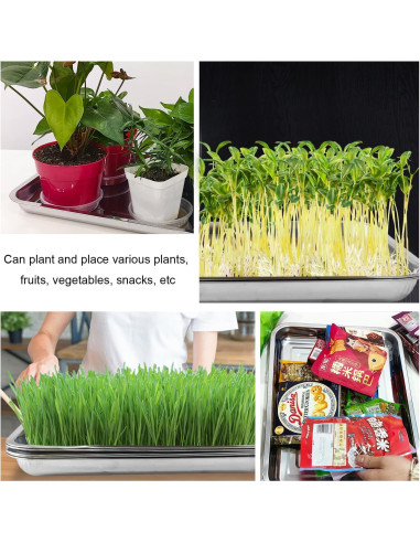 Paquete de 5 bandejas grandes de acero inoxidable RooTrimmer