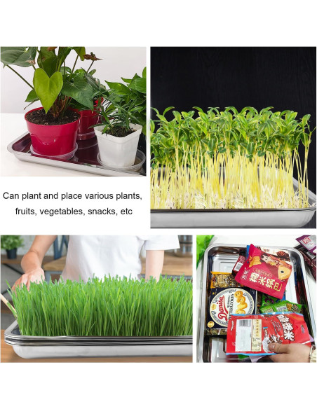 Paquete de 5 bandejas grandes de acero inoxidable RooTrimmer