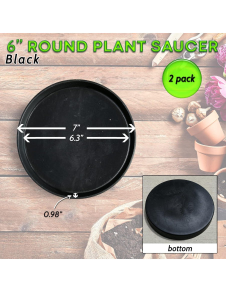 Charola Redonda Little Bear Peak 15.24 cm - Paquete de 2 Charola Redonda Little Bear Peak 15.24 cm - Paquete de 2