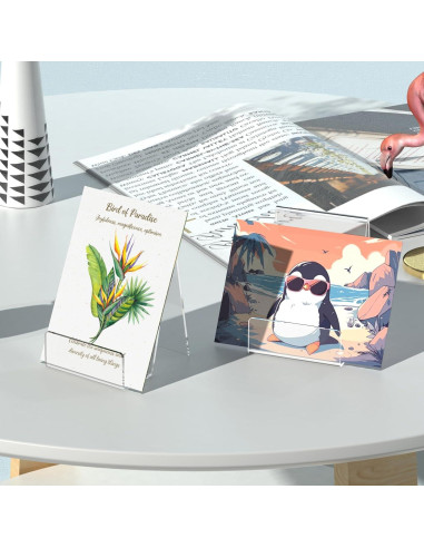 Paquete de 4 Soportes de Acrílico Suneerplay para Libros y Postales