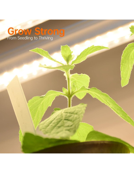 Estante para Plantas Bstrip con Luz de Crecimiento 180cm