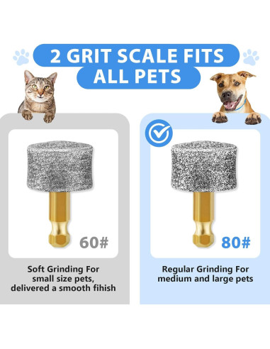 Cabezas de Molido de Diamante para Uñas de Perro - 6 Piezas