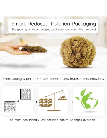 Esponja Natural Exfoliante Naroa Pequeña Sin Plástico