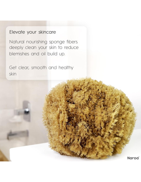 Esponja Natural Exfoliante Naroa Pequeña Sin Plástico