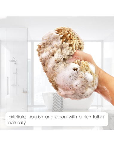 Esponja Natural Exfoliante Naroa Pequeña Sin Plástico