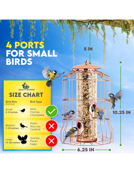 Comedero para Aves Colgante Gray Bunny Rosa Dorado 4 Puertos Comedero para Aves Colgante Gray Bunny Rosa Dorado 4 Puertos